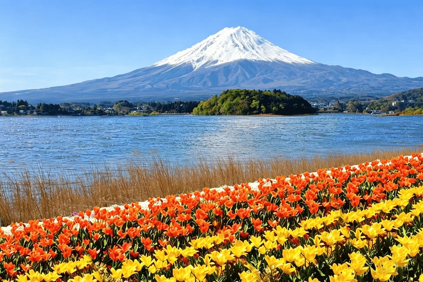 A lake with a mountain in the background and a field of tulips in the foreground. 2