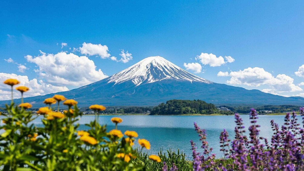 A snow-capped mountain, a lake, and surrounding vegetation. 3