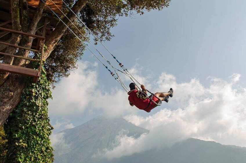 A person swinging on a rope swing attached to a tree. 5