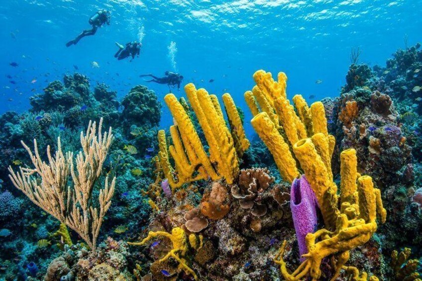 Catamaran Snorkeling Adventure to El Cielo 3
