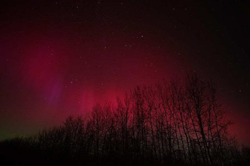 A night sky with a red aurora over a forest. 2