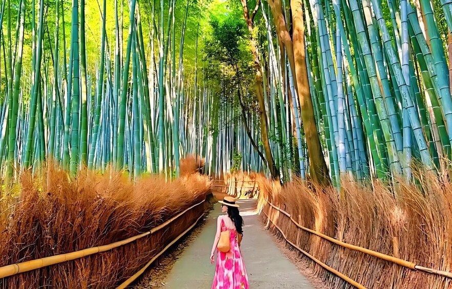 A pathway flanked by tall bamboo stalks, leading through a bamboo forest. 5