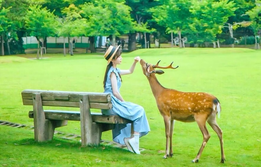 A person sitting on a bench in a park with a deer. 4