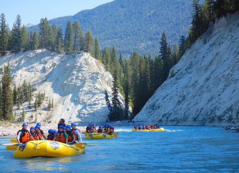 A group of people rafting down a river surrounded by mountains and trees. 3