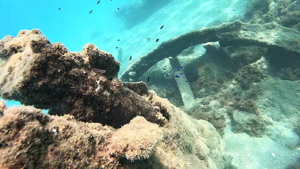 A coral reef with marine life and a shipwreck. 4
