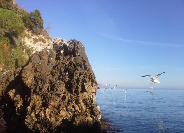 A rocky coastline with birds flying over the sea. 3