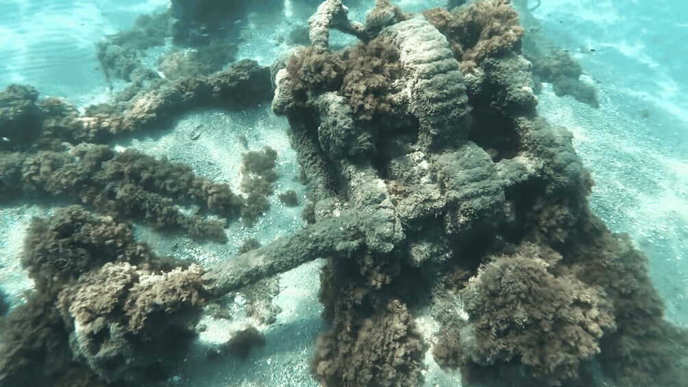 An underwater coral reef with various formations and marine life. 1