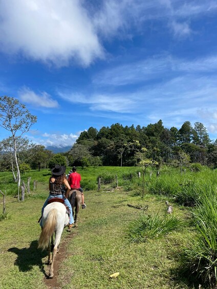 Two people horseback riding on a trail through a grassy field with trees in the background. 4