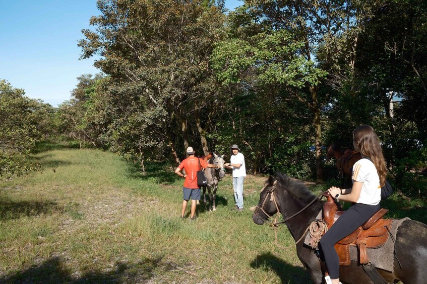 A group of people on a trail with horses, surrounded by trees. 1