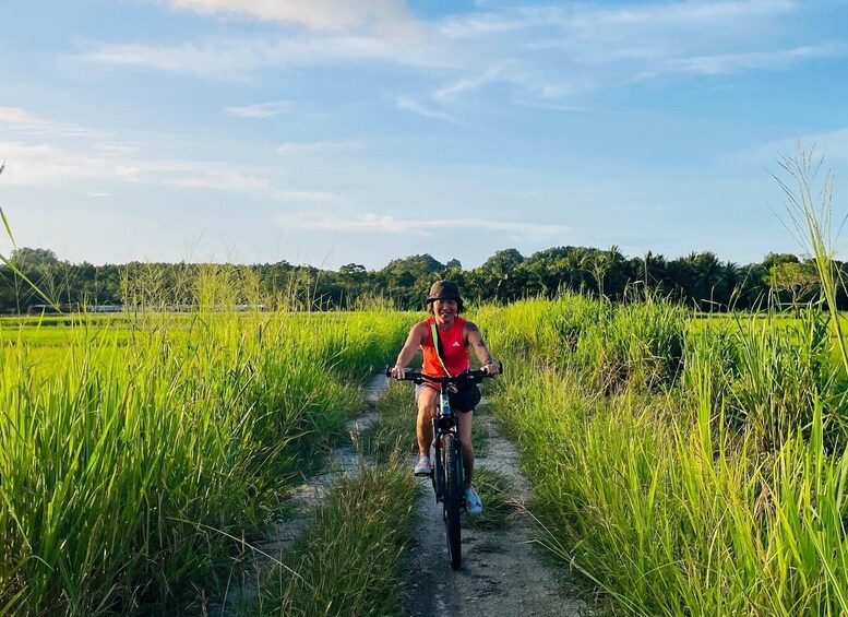 A person riding a bicycle on a dirt path through a field of tall grass. 3