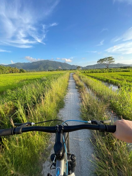 A bicycle on a narrow path through a rice field with mountains in the background. 5