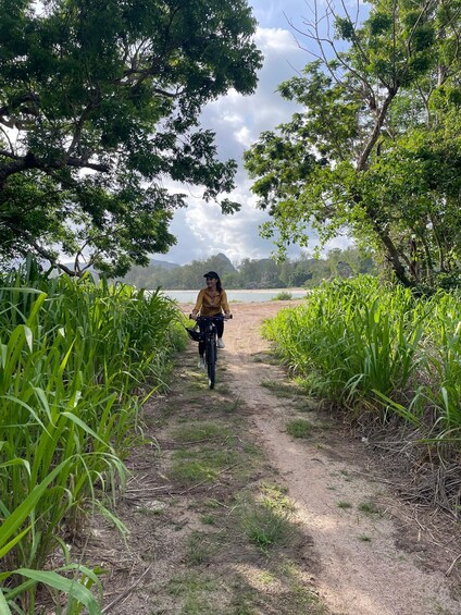 A person riding a bicycle on a dirt path surrounded by lush greenery and trees. 4