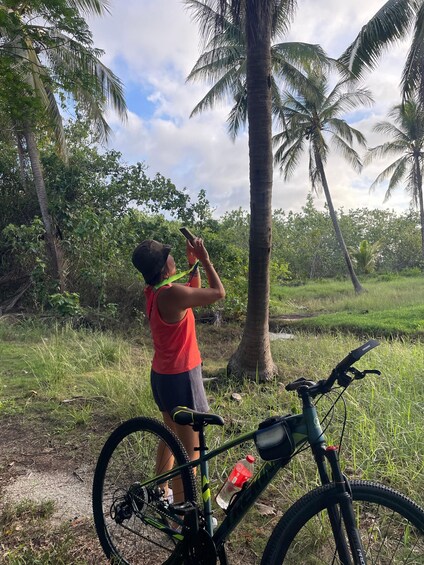 A person taking a photo with a smartphone, a mountain bike, and a water bottle in a grassy area with palm trees. 5
