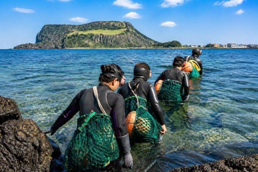 People wading in shallow water near a rocky shore with a mountain in the background. 1