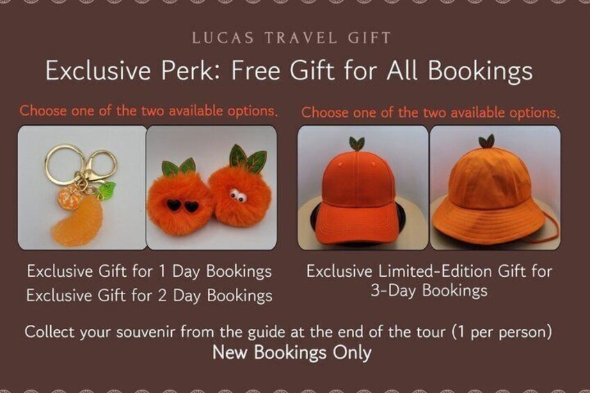 A Lucas Travel Gift advertisement with two options for exclusive gifts. 2