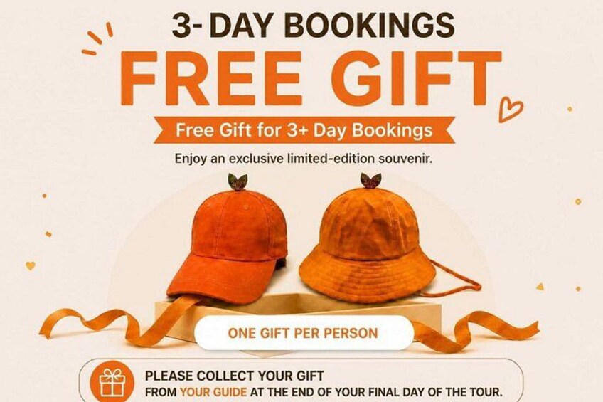 A promotional poster for a 3-day booking gift, featuring two orange hats and a ribbon. 2
