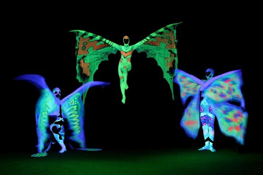 A person in a green costume with large wings, standing on a stage with a dark background. 1