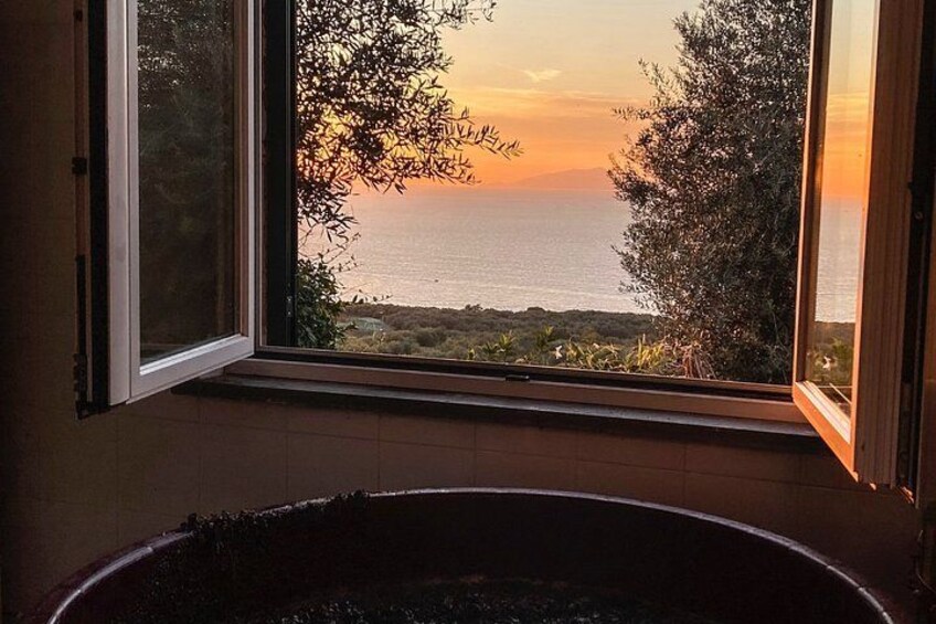 Casa Rispo Home Restaurant Sorrento : VineyardTour&WineTasting 2