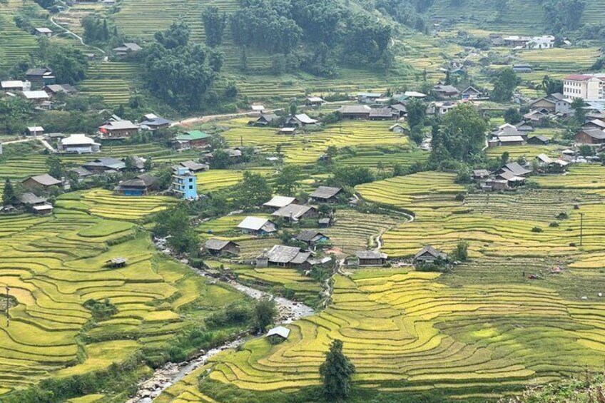 Terraced rice fields, small houses, and a blue building in a rural landscape. 4