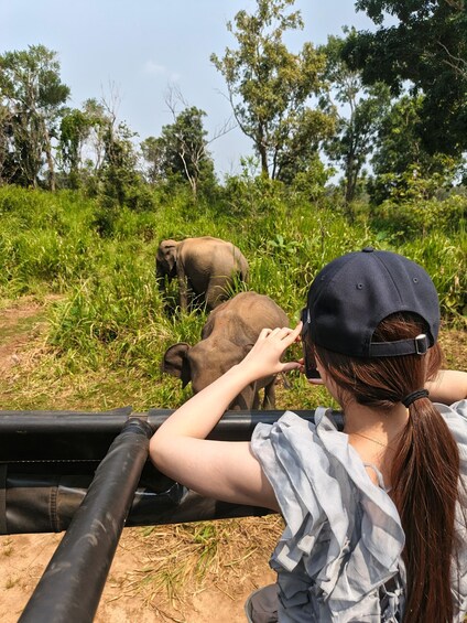 A person taking a photo of elephants in a grassy area with trees in the background. 1
