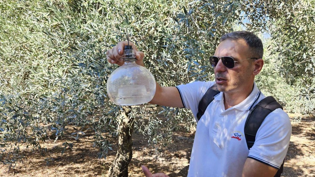 Picture 39 for Activity Olive Oil Tasting, local food, and Farm Tour in Rethymno 5