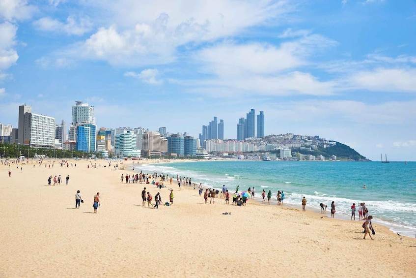 A crowded beach with a city skyline in the background. 3