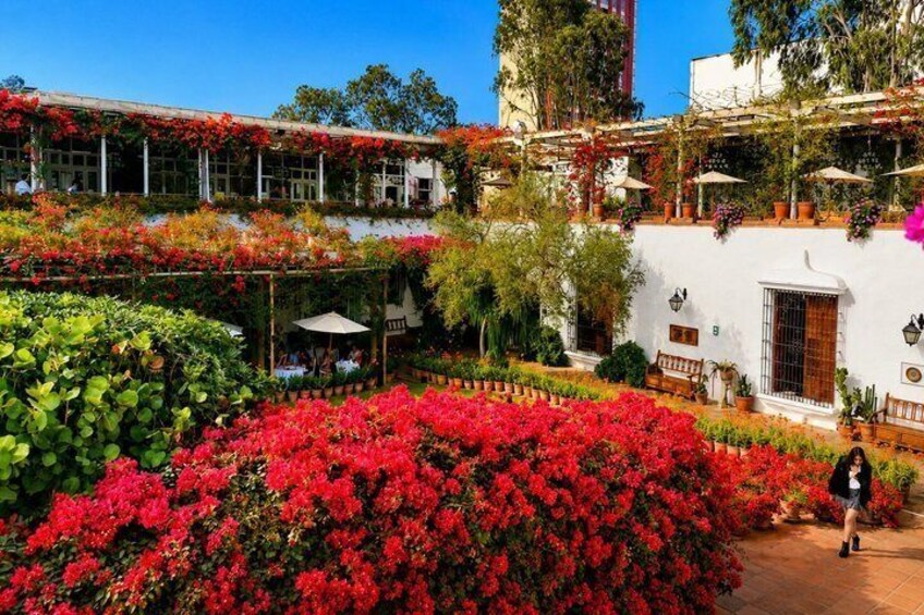 A courtyard with red flowers, white walls, and a person walking. 5