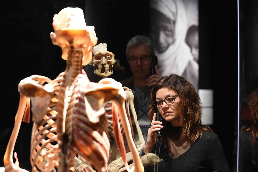 A skeleton exhibit with a person in the foreground. 5