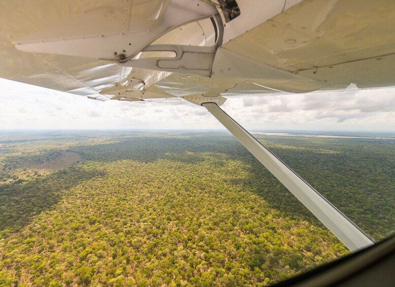 A view from an airplane window, with a forested landscape below. 4