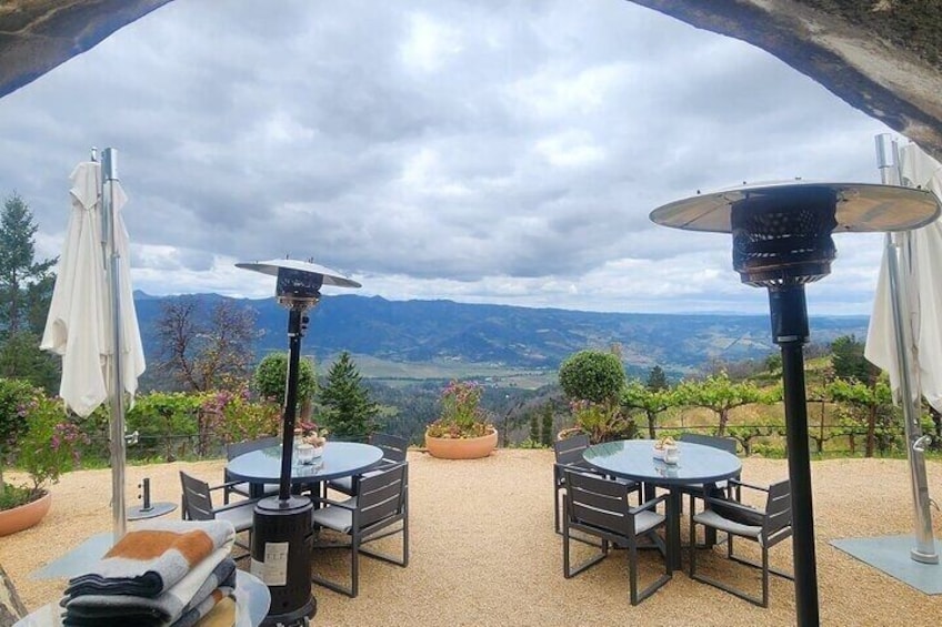 An outdoor patio with round tables and chairs, surrounded by potted plants and umbrellas, overlooking a mountainous landscape. 5