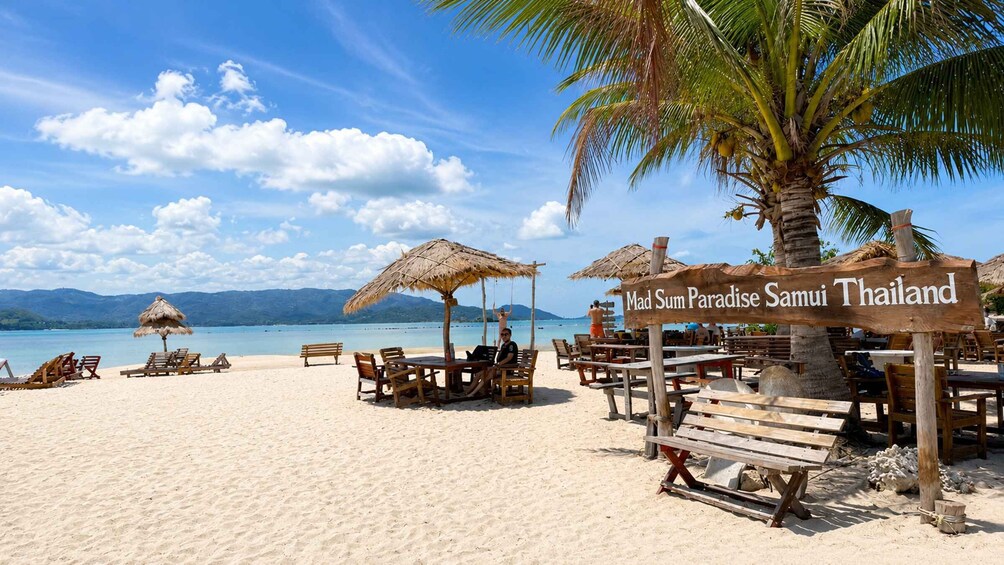 A beach with wooden benches and thatched umbrellas, palm trees, and a sign reading 'Mad Sum Paradise Samui Thailand.' 4