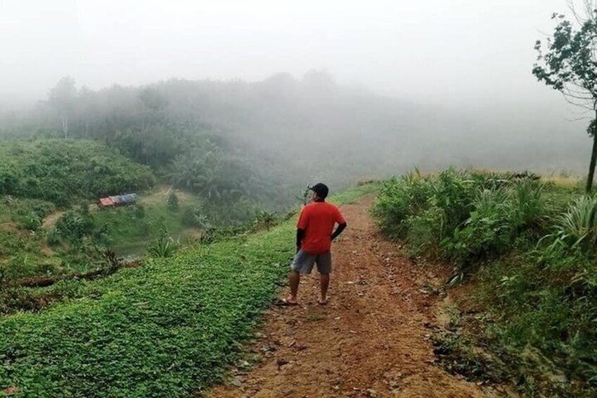 A person walking on a dirt path surrounded by greenery. 4