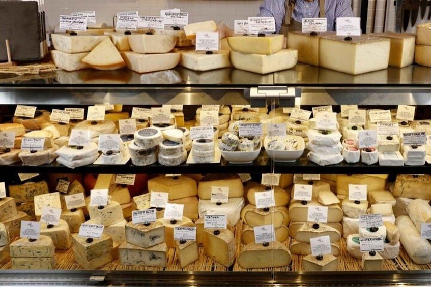 A cheese display with various types of cheese, each with a label. 4