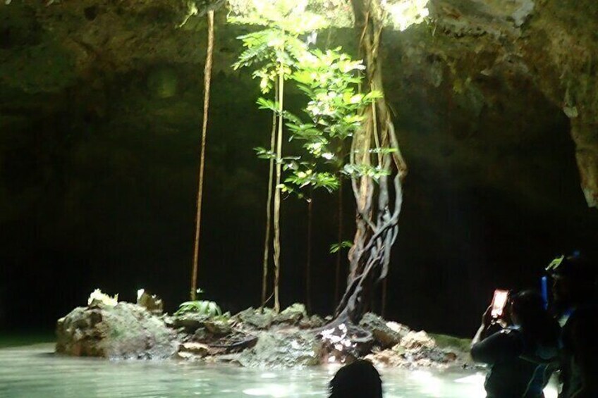 A cave with a water body, a tree with hanging roots, and a person taking a photo. 4