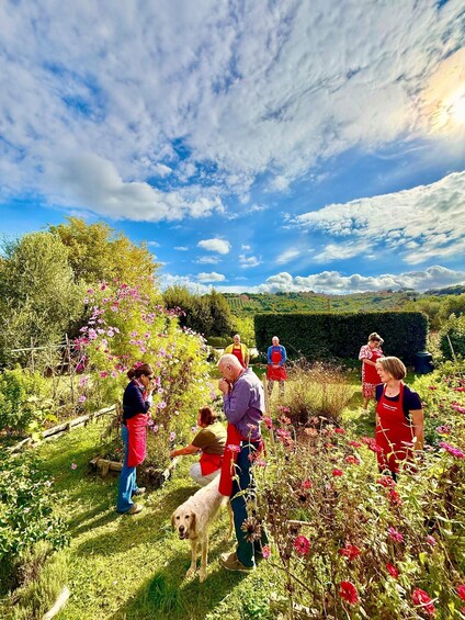 A group of people in a garden with blooming flowers and a dog. 4