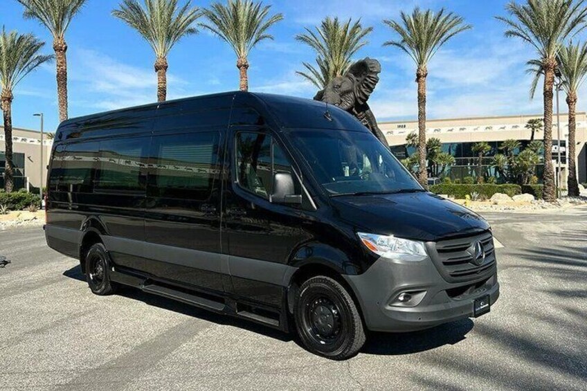 A black van parked on a paved surface with palm trees and a building in the background. 3
