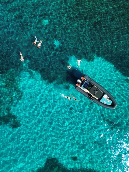 Picture 9 for Activity Golfo Aranci: Dolphin-watching tour on a luxury RIB with skipper 2