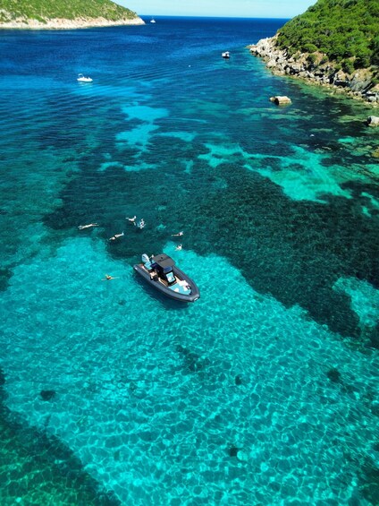 Picture 10 for Activity Golfo Aranci: Dolphin-watching tour on a luxury RIB with skipper 5