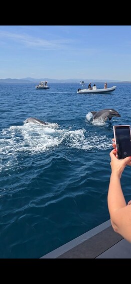 A dolphin jumping out of the water with boats and people in the background. 5