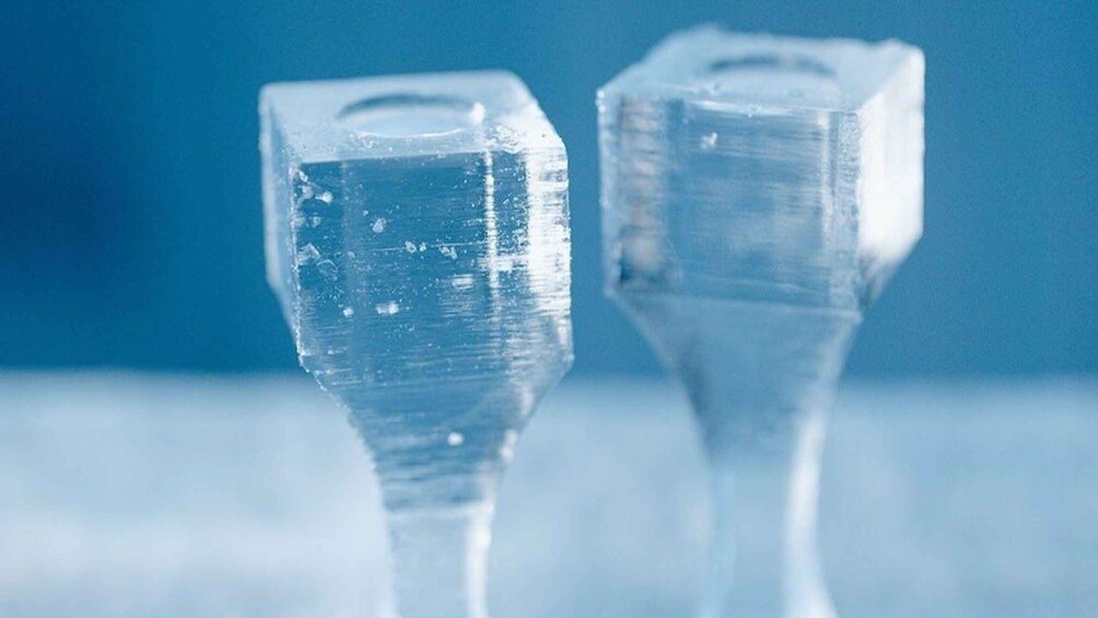 Two ice sculptures with a blue background. 5