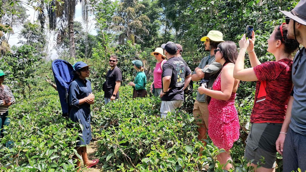 A group of people in a lush, green forested area. 2