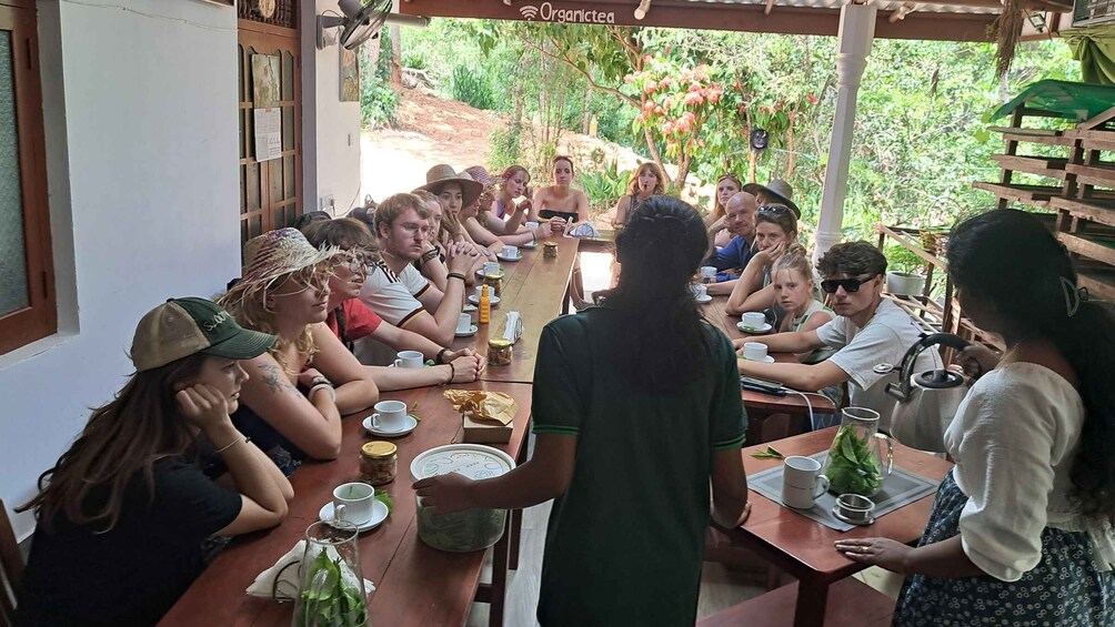 Picture 47 for Activity Ella: Organic Tea Plantation Tour with Tea Making & Tasting 2
