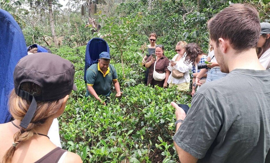 A group of people in a forested area, some wearing hats and one in a blue shirt. 1