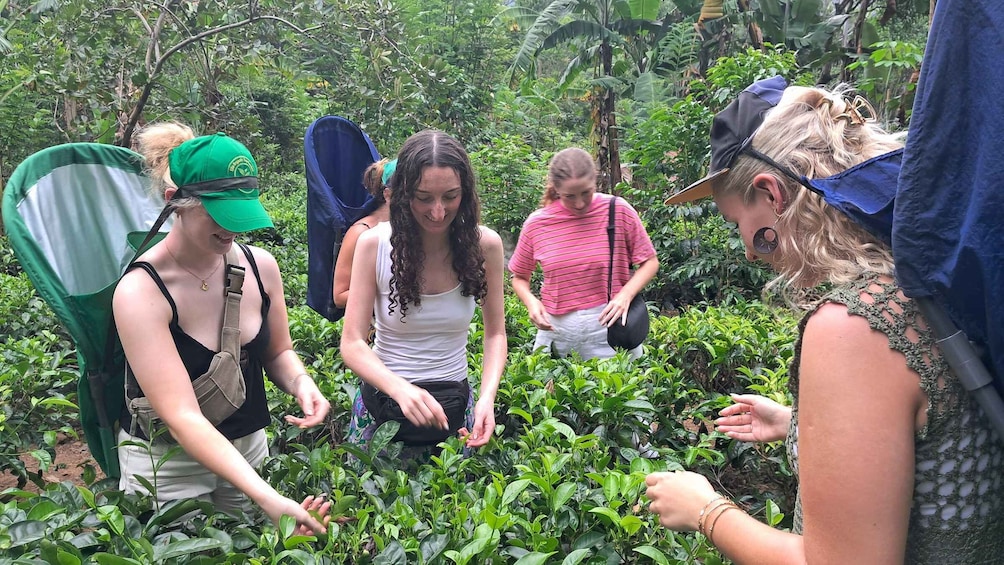 A group of people examining plants in a lush, green environment. 1