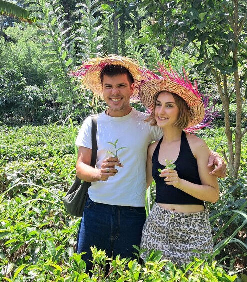 Ella: Organic Tea Plantation Tour with Tea Making & Tasting 1