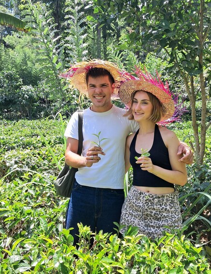 Picture 50 for Activity Ella: Organic Tea Plantation Tour with Tea Making & Tasting 2
