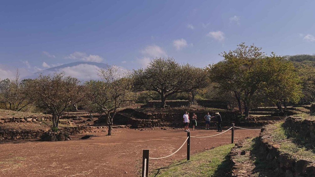 A historical site with stone structures, trees, and a clear sky. 5