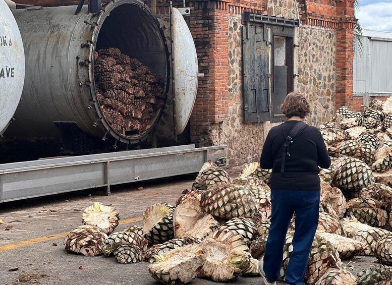 A woman standing by a large industrial machine with pineapples, next to a building with a stone wall and a metal door. 2