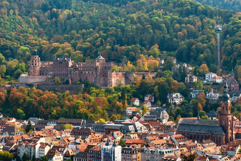 A historic city with a prominent castle on a hill, surrounded by dense forest and residential buildings. 2