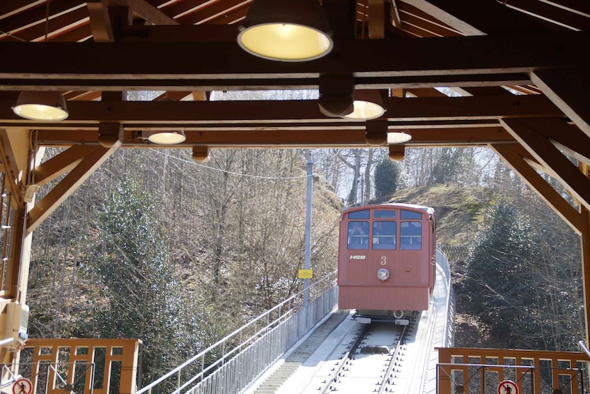A red tram on a bridge with a forested background. 5